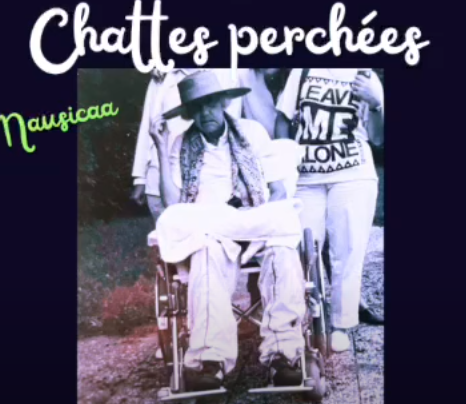 Nausicaa et ses « Chattes perchées » : une féline invitation à l’évasion