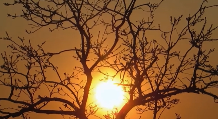 « Avant Nous » : Pascal Adam rallume le feu